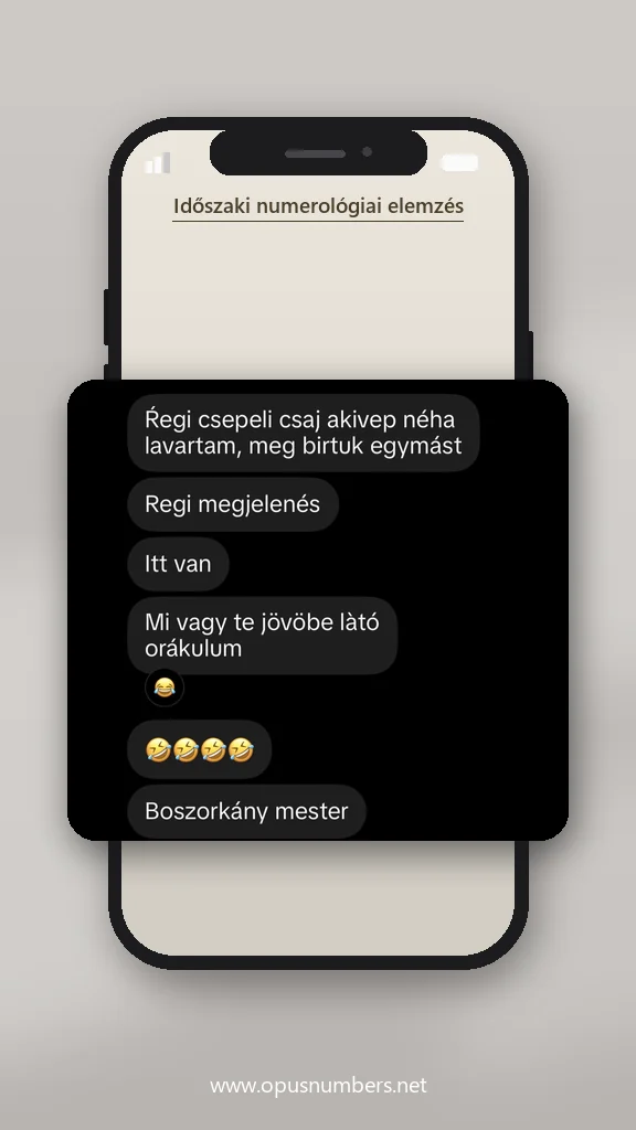 Ügyfélvélemény a numerológiai elemzésről (üzenet képernyőképe) – 1. / 38