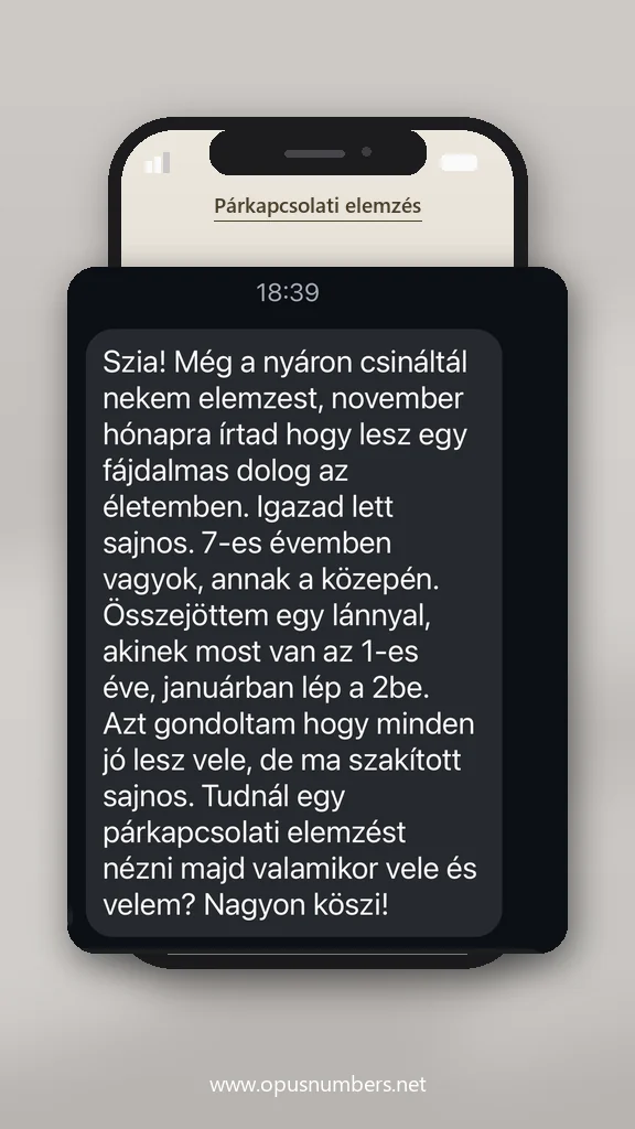 Ügyfélvélemény a numerológiai elemzésről (üzenet képernyőképe) – 21. / 38
