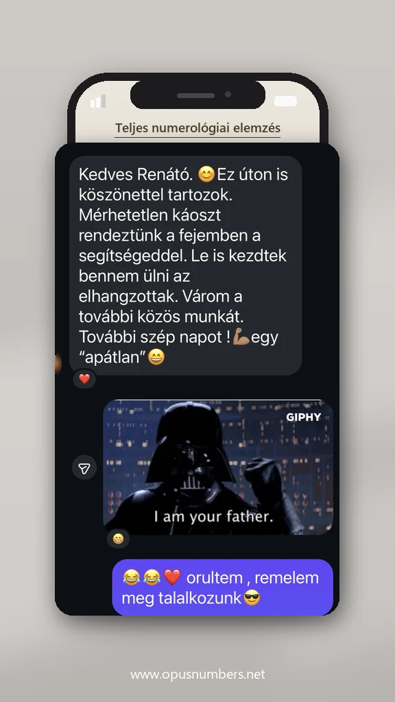 Ügyfélvélemény a numerológiai elemzésről (üzenet képernyőképe) – 4. / 38