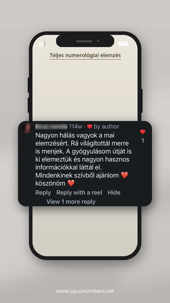 Ügyfélvélemény a numerológiai elemzésről (üzenet képernyőképe) – 5. / 38