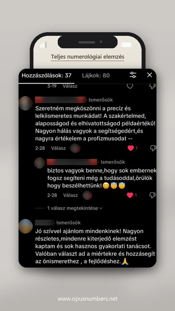 Ügyfélvélemény a numerológiai elemzésről (üzenet képernyőképe) – 32. / 38