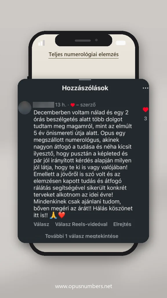 Ügyfélvélemény a numerológiai elemzésről (üzenet képernyőképe) – 37. / 38